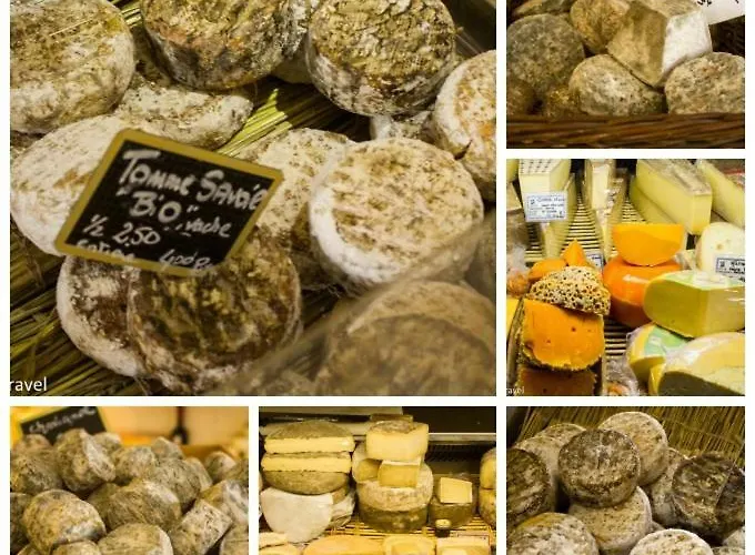 K With Terrace Appartement